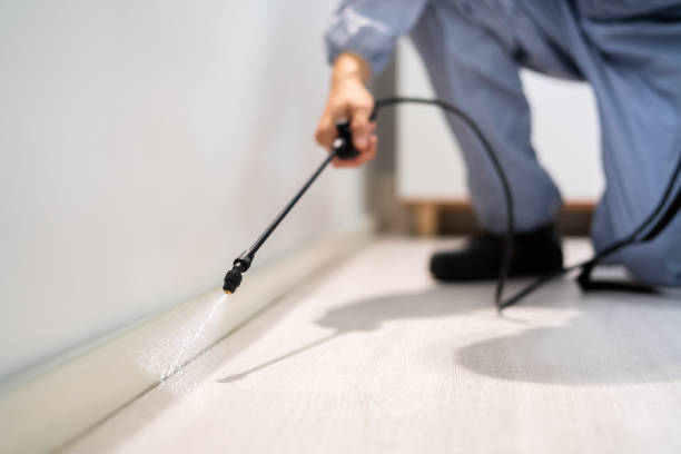 Licensed Mosquito Control service in Hacienda Heights, CA - Nex Pest Control