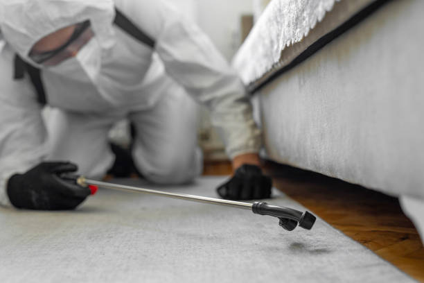 Professional Mosquito Control technician working in Hacienda Heights, CA