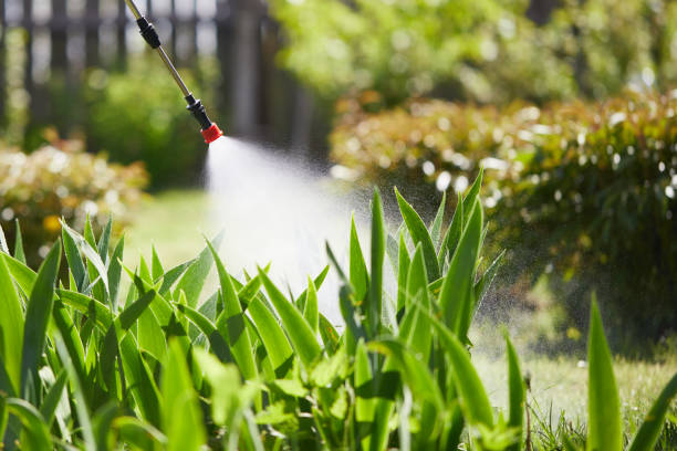 24/7 Emergency Mosquito Control experts in Hacienda Heights, CA