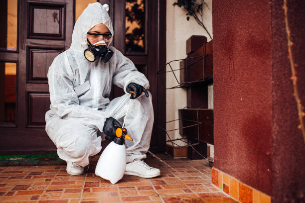 Reliable Mosquito Control contractor in Hacienda Heights, CA by Nex Pest Control