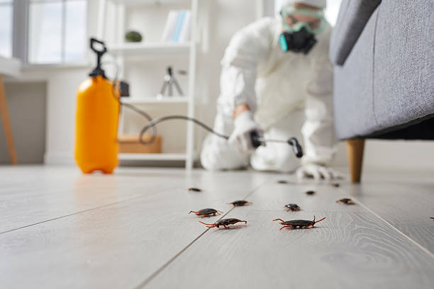 Trusted Fumigation Services service in Hacienda Heights, CA - Nex Pest Control