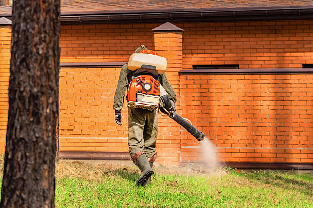 Trusted Mosquito Control service in Hacienda Heights, CA - Nex Pest Control